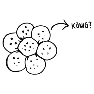 3 König